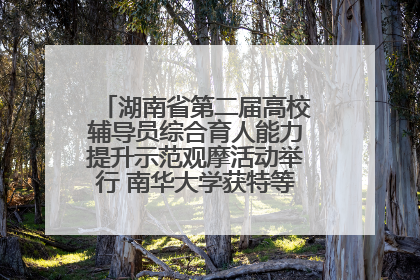 湖南省第二届高校辅导员综合育人能力提升示范观摩活动举行 南华大学获特等奖和一等奖